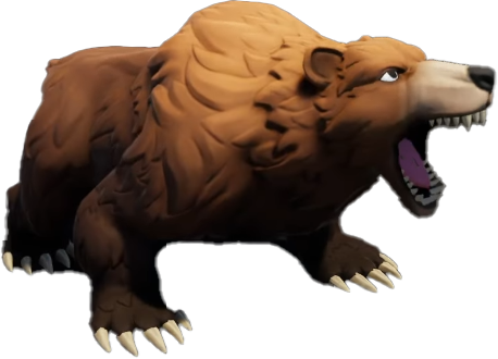 Image de l'ours